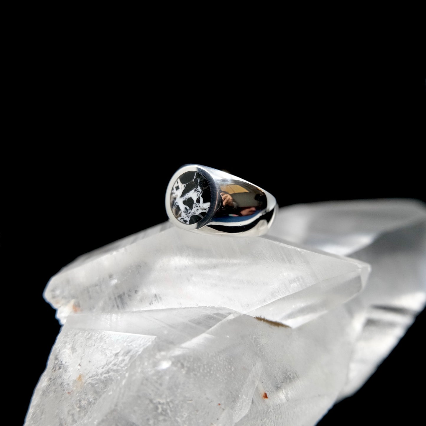 White Buffalo Round Signet Ring {8}