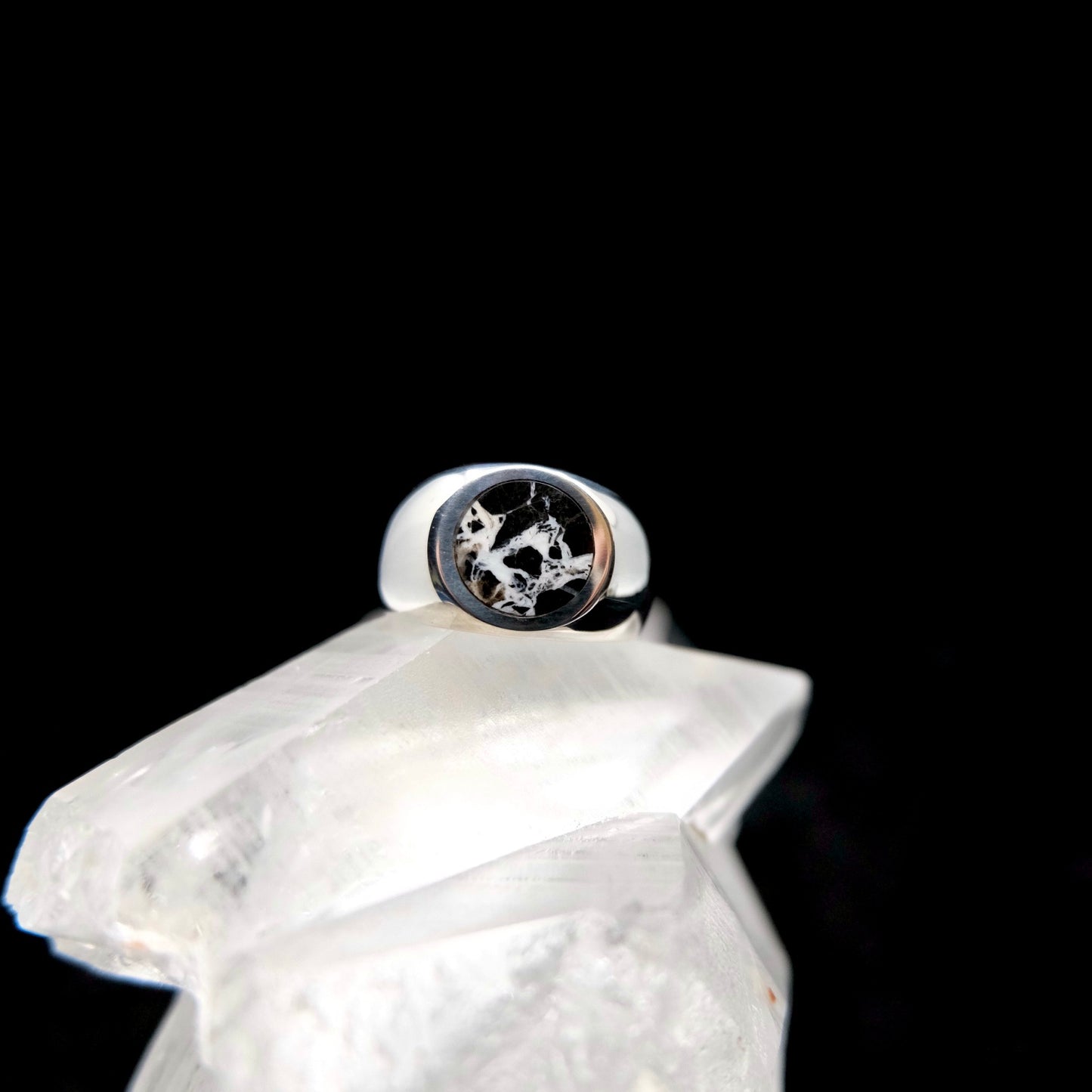 White Buffalo Round Signet Ring {8}