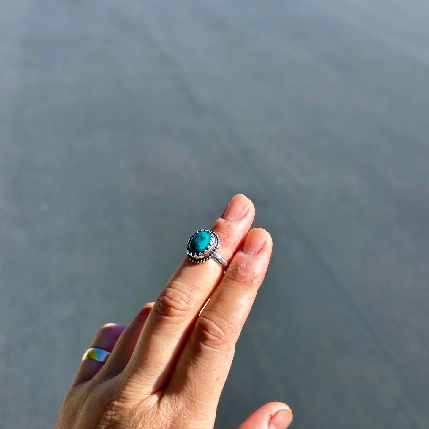 Kingman Turquoise Ring {4.5}