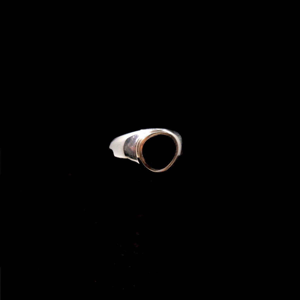 Onyx Freeform Signet Ring with 14k Gold {7}
