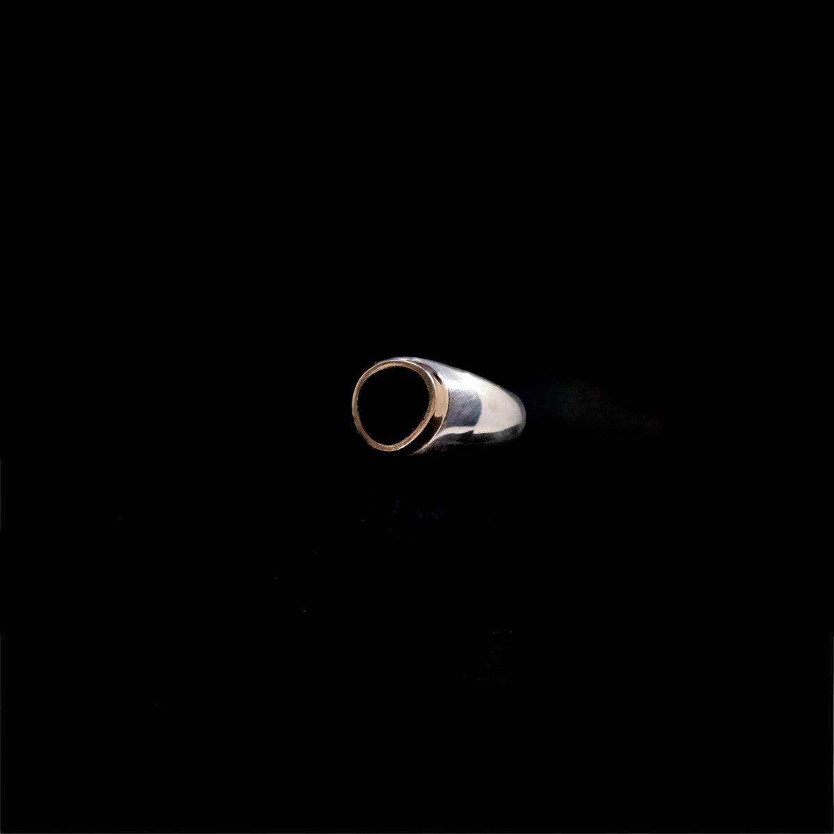 Onyx Freeform Signet Ring with 14k Gold {7}