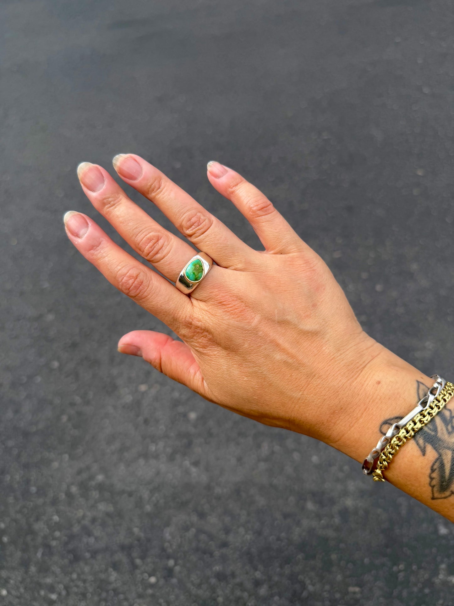 Sonoran Mountain Turquoise Signet Ring with 14k Gold {8.5/8}