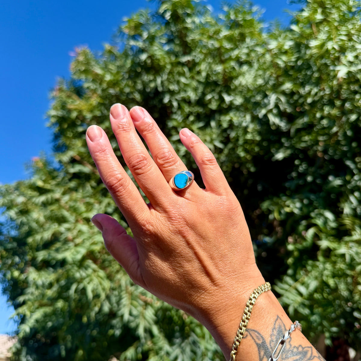 Kingman Turquoise Freeform Signet Ring {7}